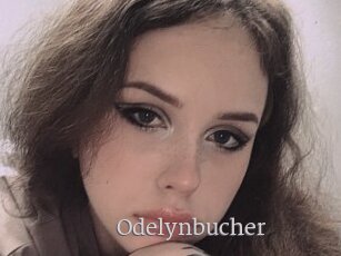 Odelynbucher