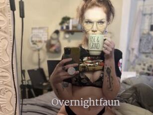 Overnightfaun