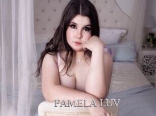 PAMELA_LUV