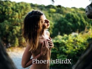 PhoenixBirdX