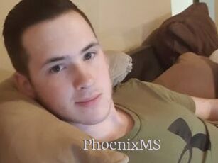 PhoenixMS