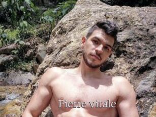 Pierre_vitale