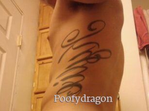 Poofydragon