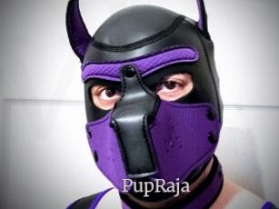PupRaja