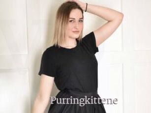Purringkittene
