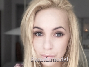 Pamelamodel