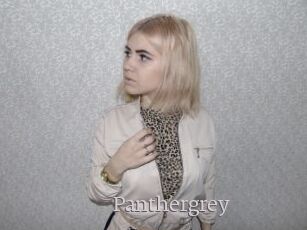 Panthergrey