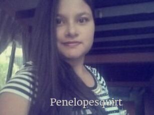 Penelopesquirt