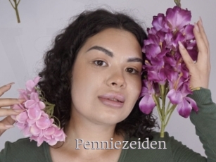Penniezeiden