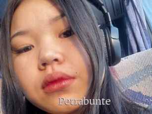 Petrabunte