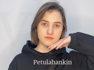 Petulahankin