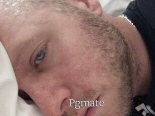 Pgmate