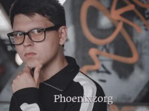 Phoenixzorg