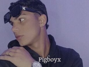 Pigboyx