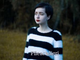 Pileacadieri