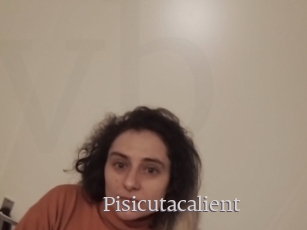 Pisicutacalient