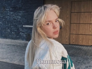 Plantarosa