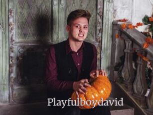 Playfulboydavid
