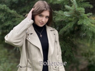 Pollerose