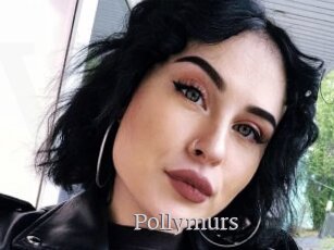 Pollymurs