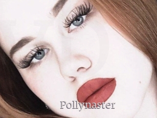Pollynaster