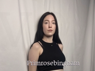Primrosebingham