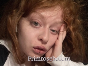 Primroseborom