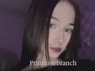 Primrosebranch