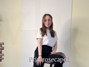 Primrosecapell