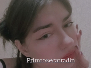 Primrosecarradin