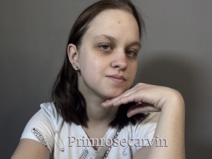 Primrosecarvin