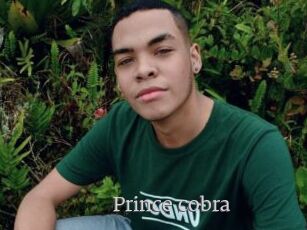 Prince_cobra