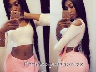 Princesspocahontas
