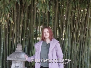 Prudencefigge