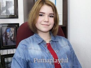 Pumaplayful