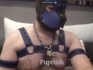 Puprush