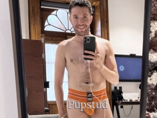 Pupstud