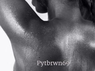 Pytbrwn69