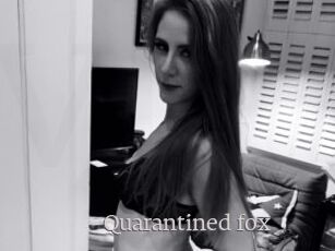 Quarantined_fox