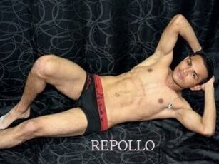 REPOLLO