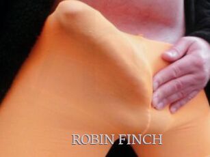 ROBIN_FINCH