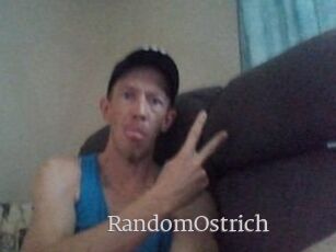 RandomOstrich