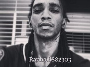 Raphael882303