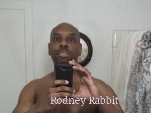 Rodney_Rabbit
