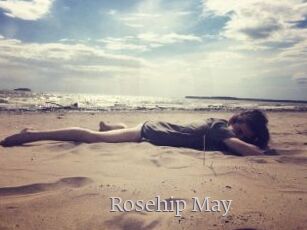 Rosehip_May