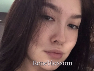Reneblossom