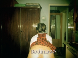 Rodinia90
