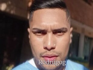Rodriigog
