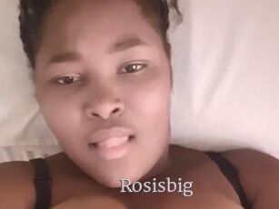 Rosisbig