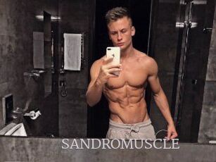 SANDRO_MUSCLE